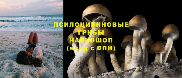 синтетический гашиш Медвежьегорск