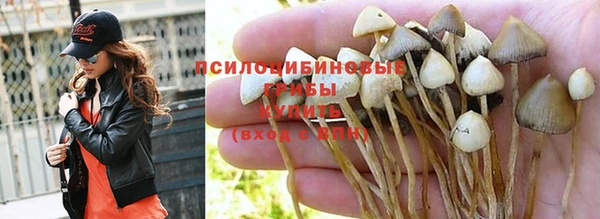 синтетический гашиш Медвежьегорск