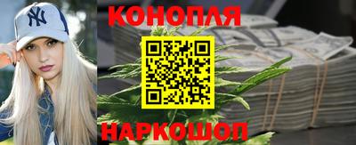 сатива Гатчина