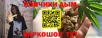 сатива Гатчина