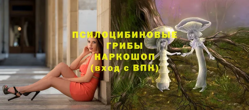 как найти закладки  Аксай  Галлюциногенные грибы Psilocybe 