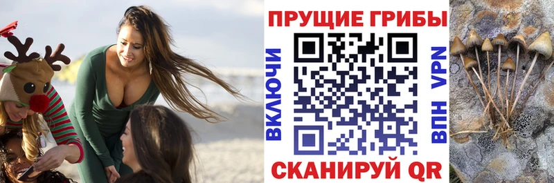 кракен ССЫЛКА  где продают   darknet официальный сайт  Галлюциногенные грибы Cubensis  Аксай 