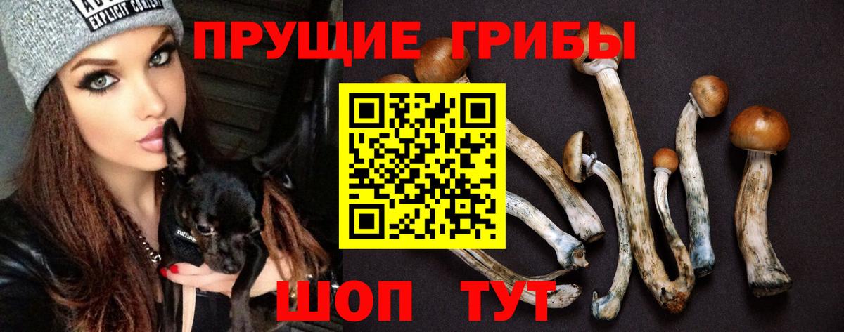 Псилоцибиновые грибы Magic Shrooms  Вход с VPN  Аксай 