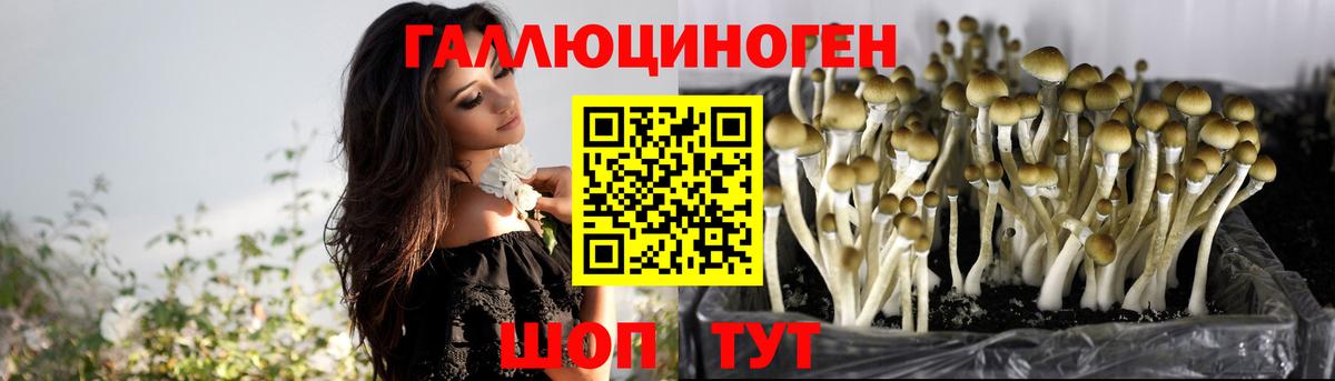 Псилоцибиновые грибы MAGIC MUSHROOMS Аксай